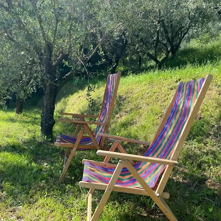 Sotto I Noccioli Di Gello *