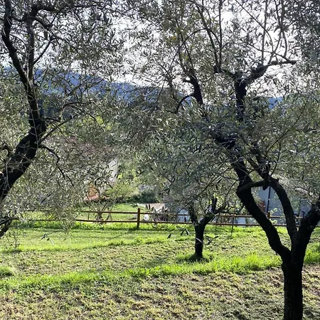度假居 Sotto I Noccioli Di Gello