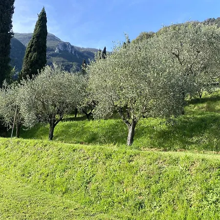 Sotto I Noccioli Di Gello 度假居 *